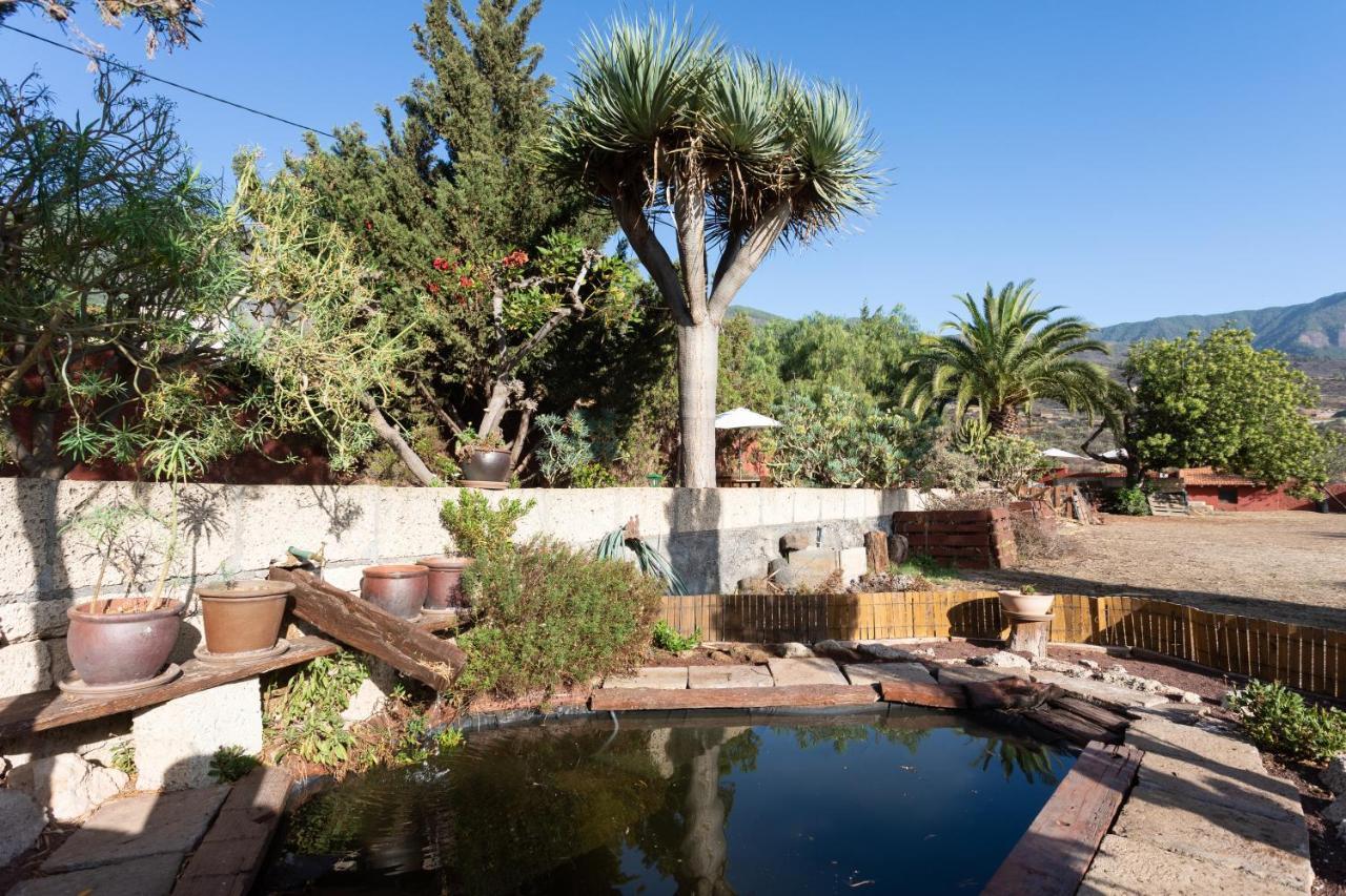Casa Del Cura Viejo Guest House Arafo Екстериор снимка